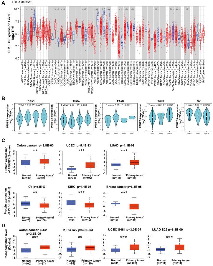 https://cdn.ncbi.nlm.nih.gov/pmc/blobs/18d8/10258027/66e06ea558c9/aging-15-204758-g001.jpg