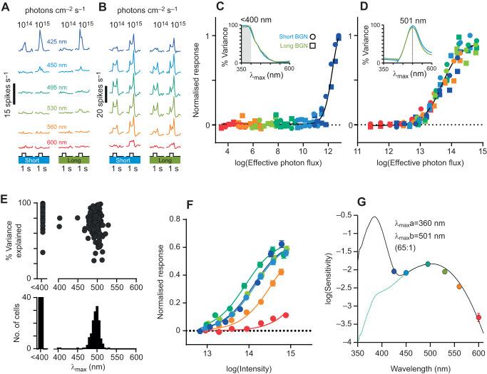 https://cdn.ncbi.nlm.nih.gov/pmc/blobs/18d9/7272338/4ceca918b4e9/jexbio-223-215368-g7.jpg