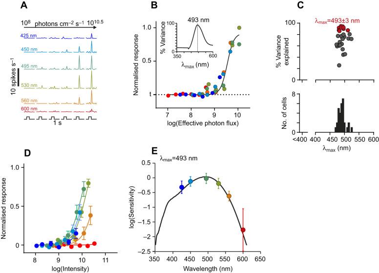 https://cdn.ncbi.nlm.nih.gov/pmc/blobs/18d9/7272338/e68730be1c34/jexbio-223-215368-g8.jpg