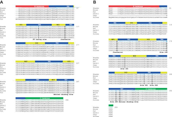 https://cdn.ncbi.nlm.nih.gov/pmc/blobs/18d9/7272338/fb9a548158b9/jexbio-223-215368-g1.jpg
