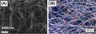 https://cdn.ncbi.nlm.nih.gov/pmc/blobs/18da/6391989/809a02557c01/CHEM-25-1379-g009.jpg