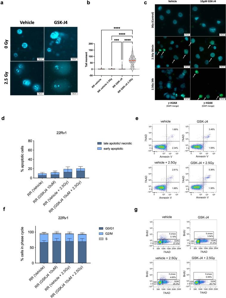 https://cdn.ncbi.nlm.nih.gov/pmc/blobs/18db/10577134/dd010bdf88aa/41392_2023_1639_Fig5_HTML.jpg