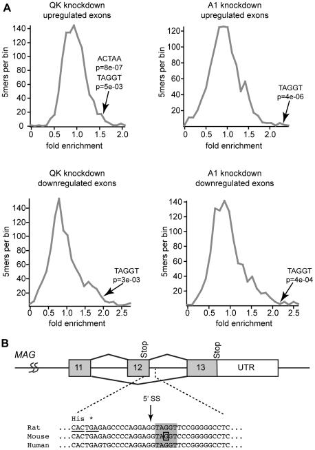 https://cdn.ncbi.nlm.nih.gov/pmc/blobs/18db/3017110/d3fdd4bda51b/pgen.1001269.g008.jpg