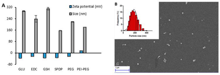 https://cdn.ncbi.nlm.nih.gov/pmc/blobs/18db/8235501/b3994b3f4acd/cancers-13-03011-g003.jpg