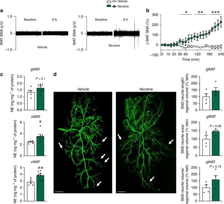 https://cdn.ncbi.nlm.nih.gov/pmc/blobs/18de/6731305/ad002ef85e37/41467_2019_12004_Fig2_HTML.jpg