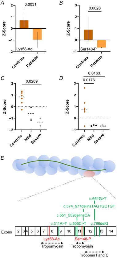 https://cdn.ncbi.nlm.nih.gov/pmc/blobs/18e1/12206437/27f3be884c7e/TJP-603-3533-g003.jpg