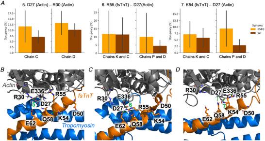 https://cdn.ncbi.nlm.nih.gov/pmc/blobs/18e1/12206437/8473c506604f/TJP-603-3533-g011.jpg