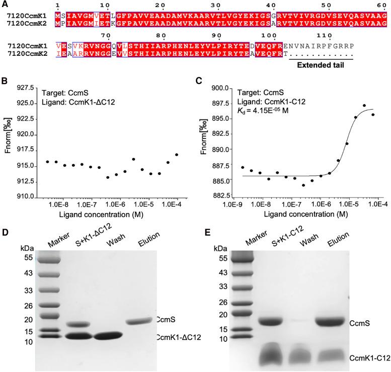https://cdn.ncbi.nlm.nih.gov/pmc/blobs/18e2/11635287/411c48cccd70/kiae438f3.jpg