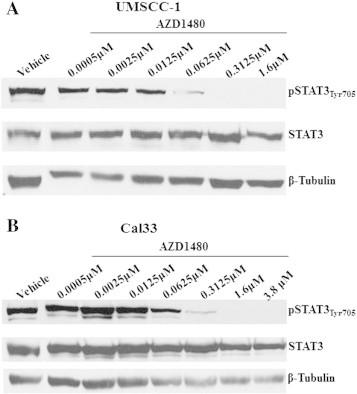 https://cdn.ncbi.nlm.nih.gov/pmc/blobs/18e3/4372647/46829bd4620f/gr5.jpg