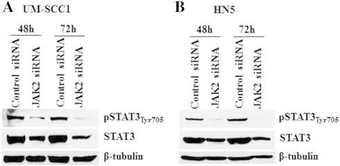 https://cdn.ncbi.nlm.nih.gov/pmc/blobs/18e3/4372647/75c6e65c63a2/gr6.jpg