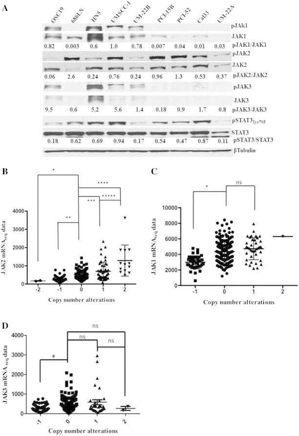 https://cdn.ncbi.nlm.nih.gov/pmc/blobs/18e3/4372647/b04b8f1875a7/gr1.jpg