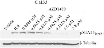 https://cdn.ncbi.nlm.nih.gov/pmc/blobs/18e3/4372647/d68a11724c0f/gr7.jpg