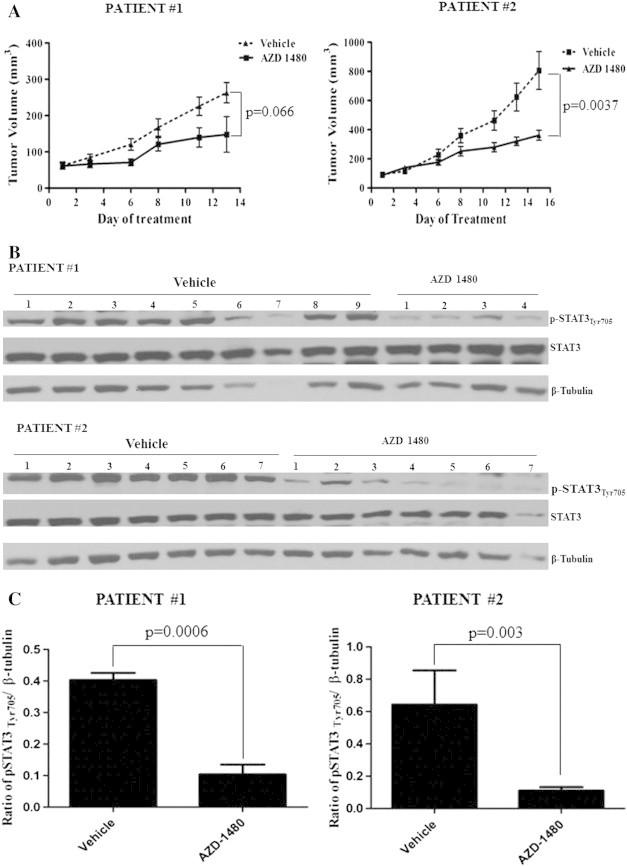 https://cdn.ncbi.nlm.nih.gov/pmc/blobs/18e3/4372647/da3124ea42ad/gr4.jpg