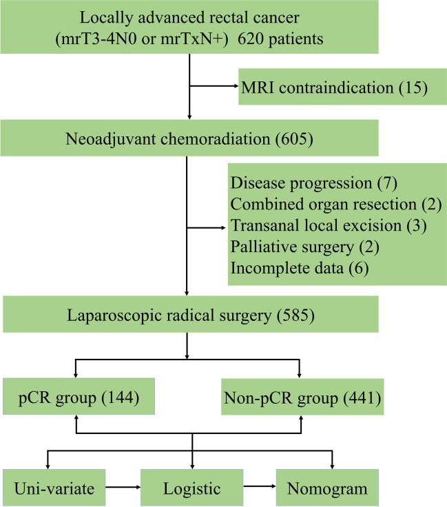 https://cdn.ncbi.nlm.nih.gov/pmc/blobs/18e9/11832599/40c8a8bb34e9/384_2024_4801_Fig1_HTML.jpg