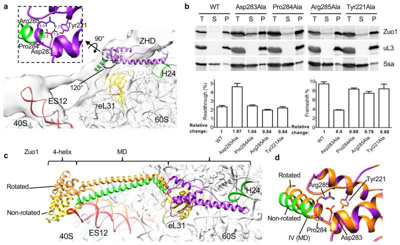 https://cdn.ncbi.nlm.nih.gov/pmc/blobs/18ea/5097012/400f470bf426/nihms814512f4.jpg
