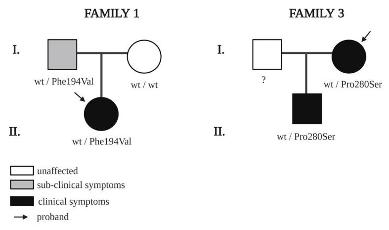 https://cdn.ncbi.nlm.nih.gov/pmc/blobs/18eb/7698471/0d1105546488/genes-11-01361-g002.jpg