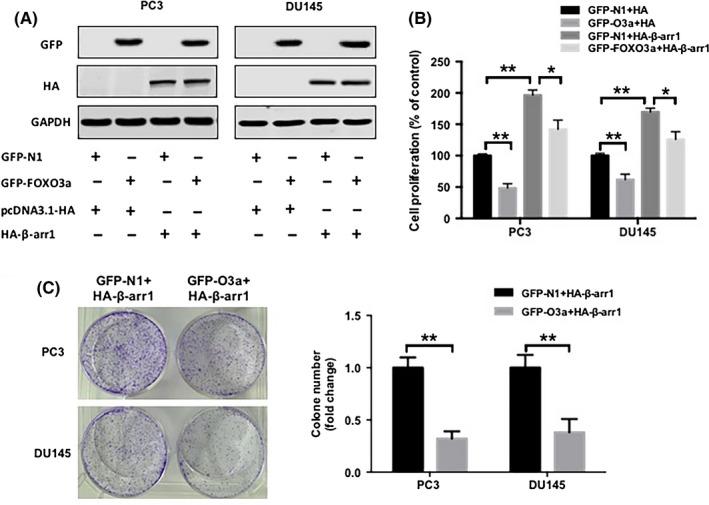 https://cdn.ncbi.nlm.nih.gov/pmc/blobs/18ec/5989847/5fc41743ded3/CAS-109-1834-g005.jpg