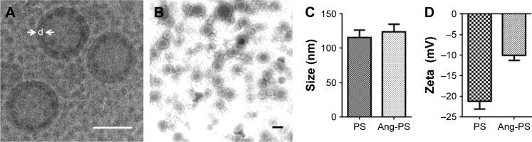 https://cdn.ncbi.nlm.nih.gov/pmc/blobs/18ed/5360408/09be49340054/ijn-12-2117Fig1.jpg