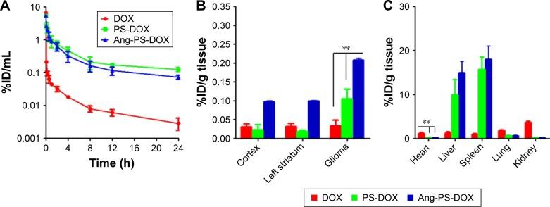 https://cdn.ncbi.nlm.nih.gov/pmc/blobs/18ed/5360408/a1ee77f4f811/ijn-12-2117Fig4.jpg