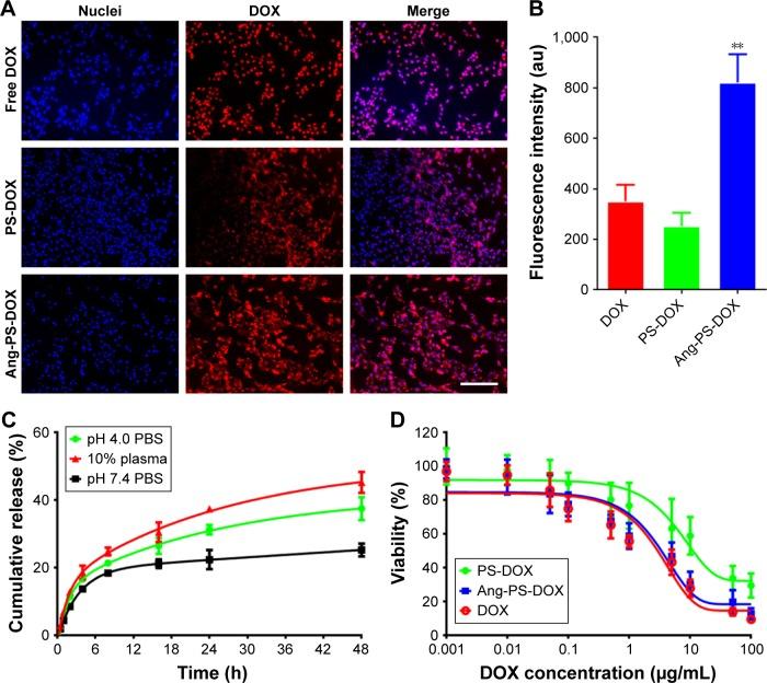 https://cdn.ncbi.nlm.nih.gov/pmc/blobs/18ed/5360408/f143c5f8480d/ijn-12-2117Fig3.jpg