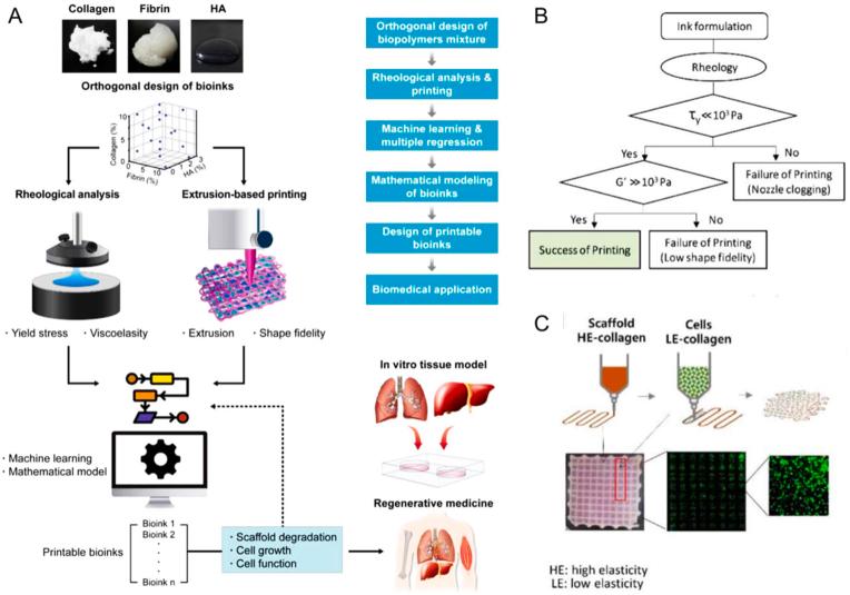 https://cdn.ncbi.nlm.nih.gov/pmc/blobs/18ee/10924066/89629169e025/gr3.jpg