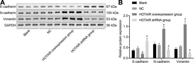 https://cdn.ncbi.nlm.nih.gov/pmc/blobs/18ee/8053715/66e26242d26f/CMAR-13-3247-g0002.jpg