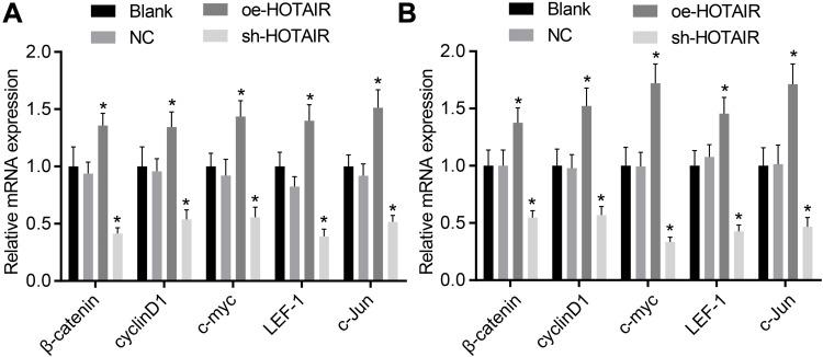 https://cdn.ncbi.nlm.nih.gov/pmc/blobs/18ee/8053715/97d7baa13c75/CMAR-13-3247-g0006.jpg