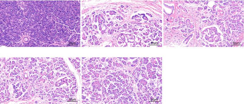 https://cdn.ncbi.nlm.nih.gov/pmc/blobs/18ee/8053715/e081cbc200bf/CMAR-13-3247-g0001.jpg