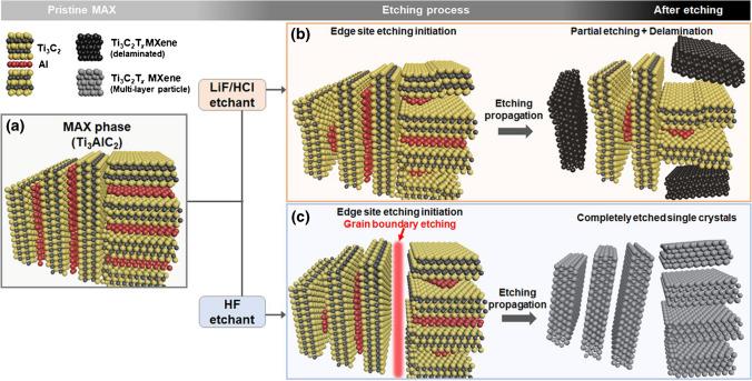 https://cdn.ncbi.nlm.nih.gov/pmc/blobs/18f0/10784403/29ab651aa8e4/604_2023_6163_Fig3_HTML.jpg
