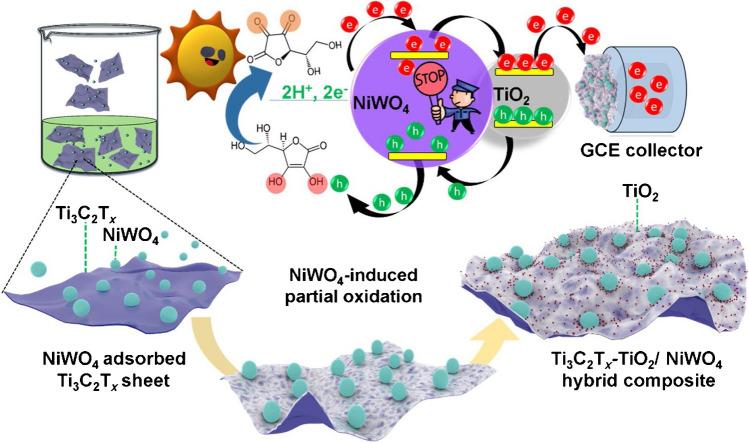 https://cdn.ncbi.nlm.nih.gov/pmc/blobs/18f0/10784403/b65c0bf523de/604_2023_6163_Fig18_HTML.jpg