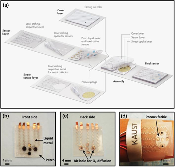 https://cdn.ncbi.nlm.nih.gov/pmc/blobs/18f0/10784403/ba2a0e3342c4/604_2023_6163_Fig7_HTML.jpg