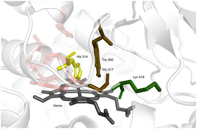 https://cdn.ncbi.nlm.nih.gov/pmc/blobs/18f0/12377911/0b03f311b30f/btaf431f6.jpg