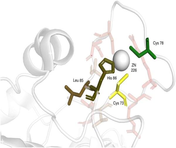 https://cdn.ncbi.nlm.nih.gov/pmc/blobs/18f0/12377911/75d0deb6e804/btaf431f4.jpg