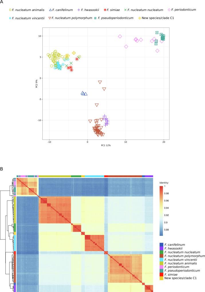 https://cdn.ncbi.nlm.nih.gov/pmc/blobs/18f2/11380691/1d16098e27e8/42003_2024_6825_Fig7_HTML.jpg