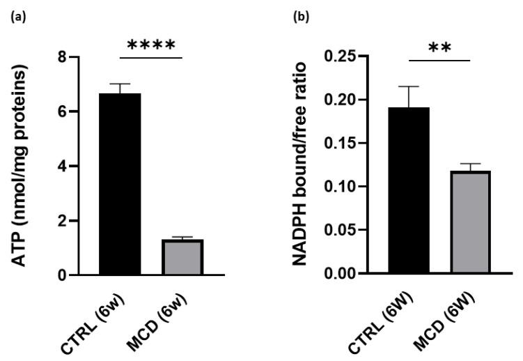 https://cdn.ncbi.nlm.nih.gov/pmc/blobs/18f3/10298347/058027cffe26/ijms-24-09808-g003.jpg