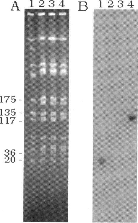 https://cdn.ncbi.nlm.nih.gov/pmc/blobs/18f4/192404/fec4368249a1/aac00033-0202-a.jpg