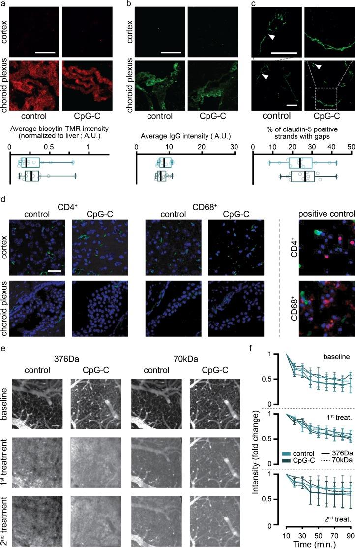 https://cdn.ncbi.nlm.nih.gov/pmc/blobs/18f4/6469801/017a537fab1f/pbio.2006859.g004.jpg