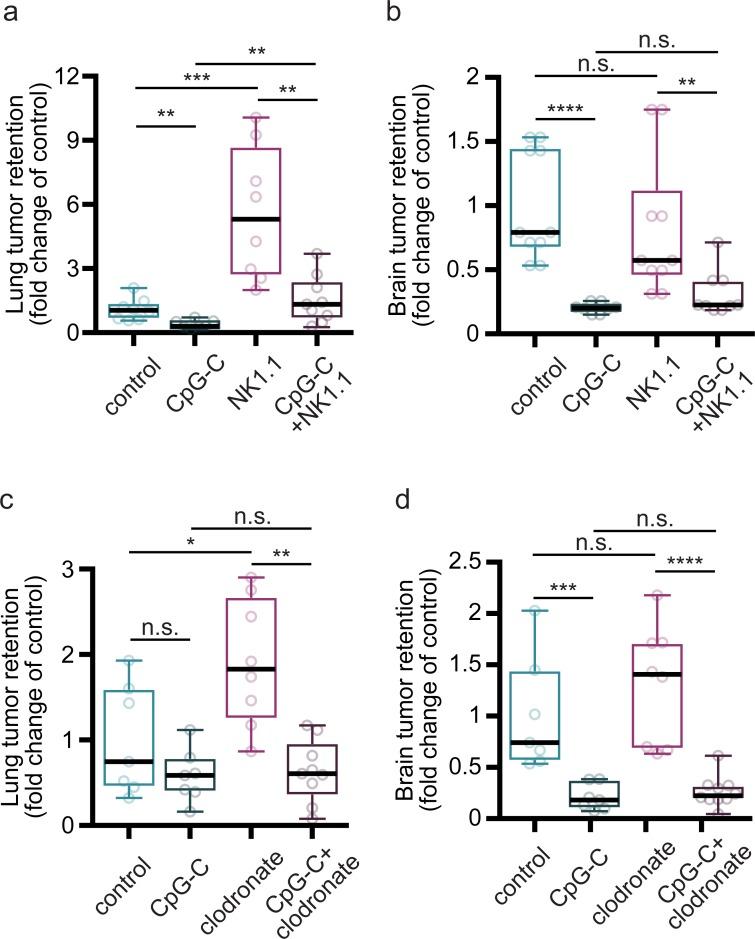 https://cdn.ncbi.nlm.nih.gov/pmc/blobs/18f4/6469801/15fec80455ea/pbio.2006859.g002.jpg