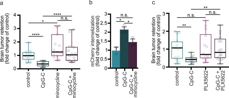 https://cdn.ncbi.nlm.nih.gov/pmc/blobs/18f4/6469801/4eb9a55e8fe2/pbio.2006859.g007.jpg
