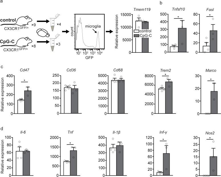https://cdn.ncbi.nlm.nih.gov/pmc/blobs/18f4/6469801/66921b4e4045/pbio.2006859.g008.jpg