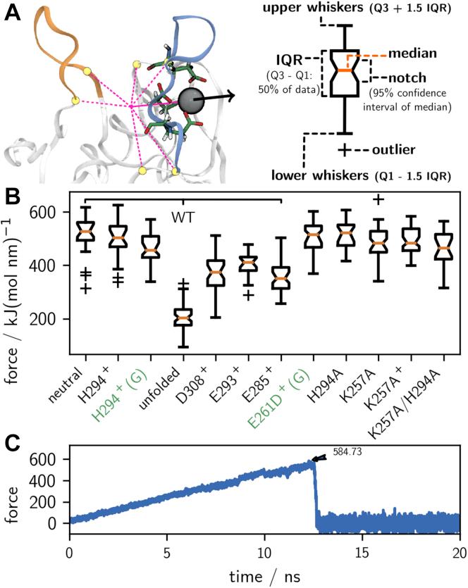 https://cdn.ncbi.nlm.nih.gov/pmc/blobs/18f4/8219899/f0d2f7396cf1/gr8.jpg