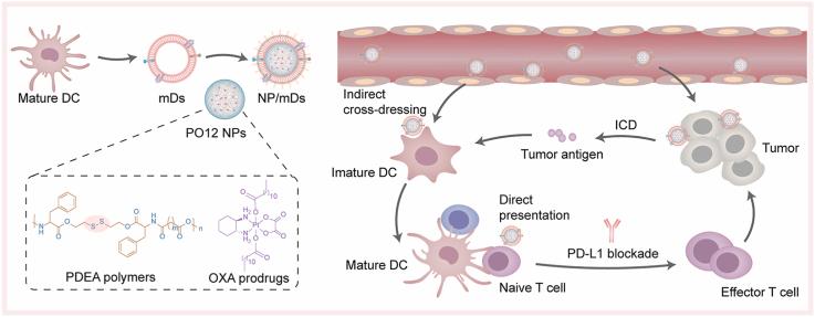 https://cdn.ncbi.nlm.nih.gov/pmc/blobs/18f4/8941172/07cdb2eaa9c8/ga1.jpg
