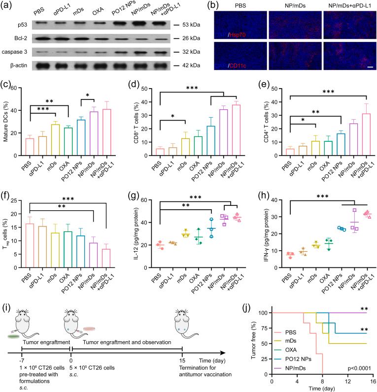 https://cdn.ncbi.nlm.nih.gov/pmc/blobs/18f4/8941172/8c8405ebd9d6/gr7.jpg