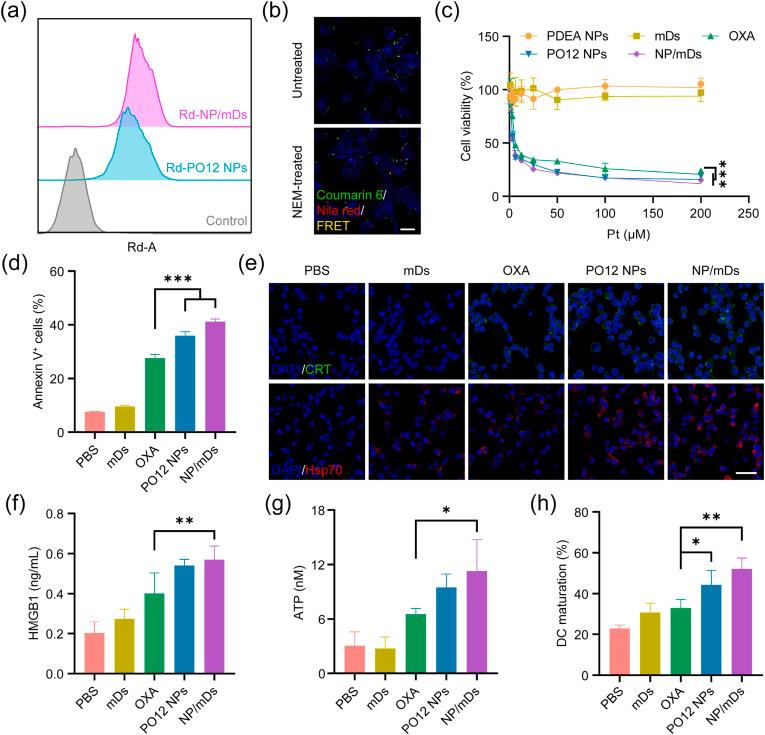 https://cdn.ncbi.nlm.nih.gov/pmc/blobs/18f4/8941172/e2fcd64ca783/gr3.jpg