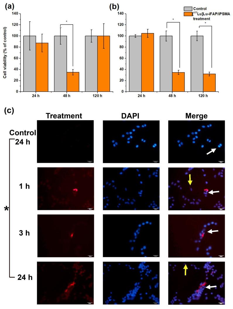 https://cdn.ncbi.nlm.nih.gov/pmc/blobs/18f6/9739705/774533214e1c/nanomaterials-12-04181-g002.jpg