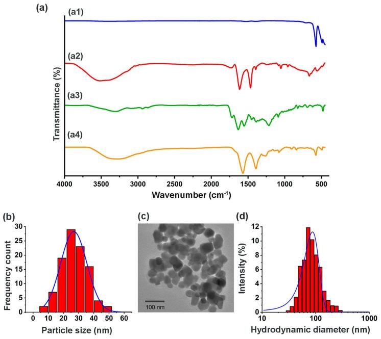 https://cdn.ncbi.nlm.nih.gov/pmc/blobs/18f6/9739705/9d710a428286/nanomaterials-12-04181-g001.jpg