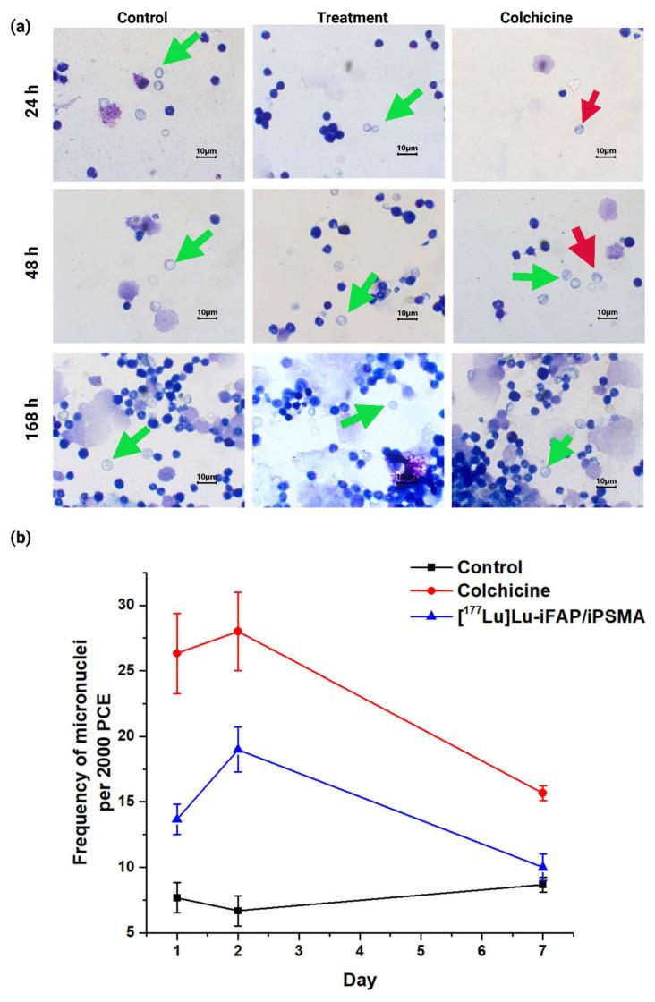 https://cdn.ncbi.nlm.nih.gov/pmc/blobs/18f6/9739705/ac81158e2f0d/nanomaterials-12-04181-g007.jpg