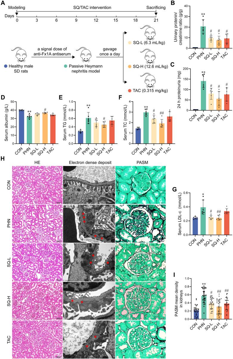 https://cdn.ncbi.nlm.nih.gov/pmc/blobs/18f7/12098599/067b58ba6f27/fphar-16-1503961-g002.jpg