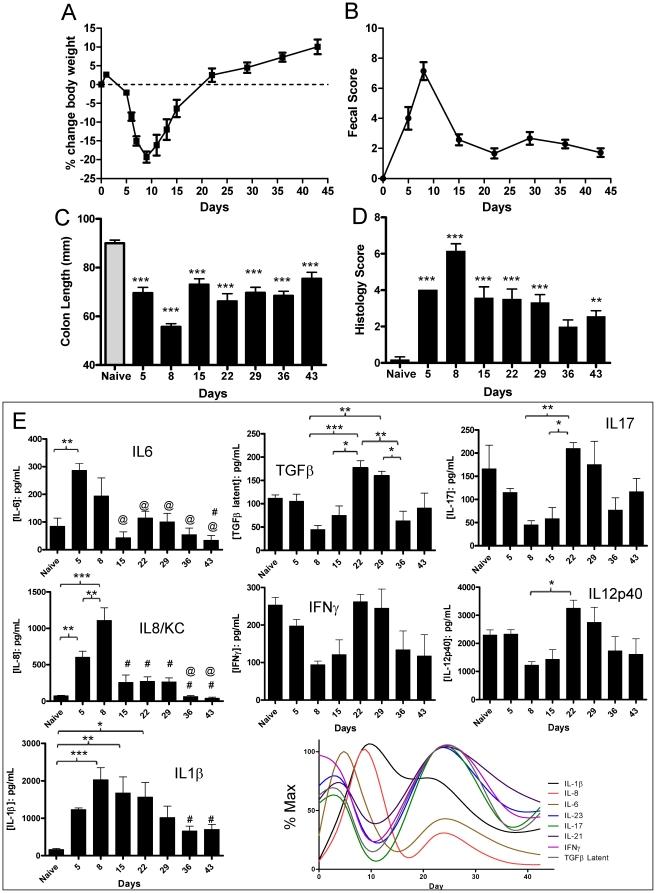https://cdn.ncbi.nlm.nih.gov/pmc/blobs/18f7/3260280/abb022e263ac/pone.0030273.g001.jpg