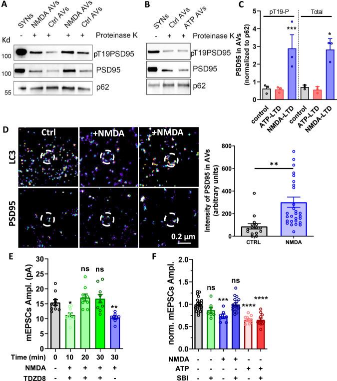 https://cdn.ncbi.nlm.nih.gov/pmc/blobs/18f7/8121912/753b977c5902/41467_2021_23133_Fig5_HTML.jpg